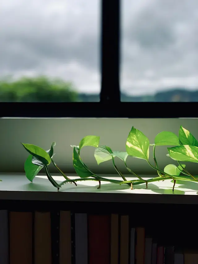 The History and Origins of Pothos Plants